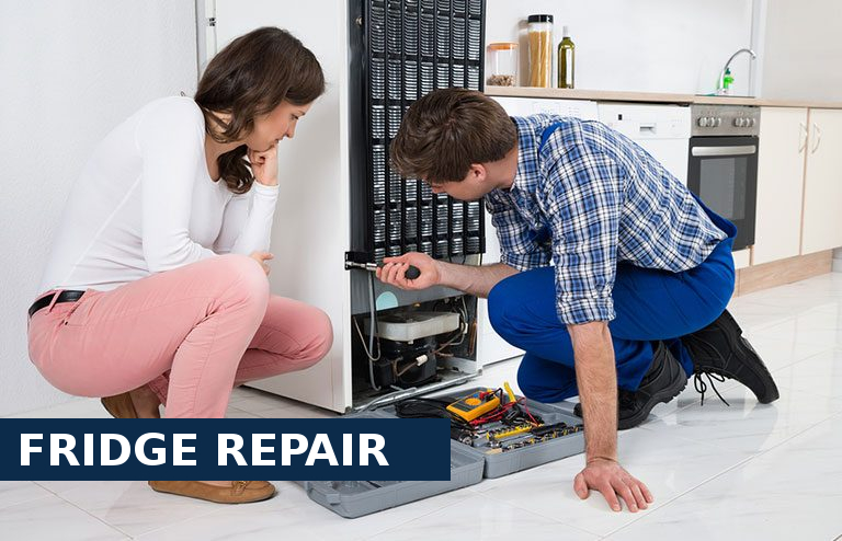 Fridge Repair Highgate